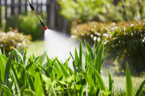 Tamper-Resistant Bait Stations for Rodents in Shark River Hills