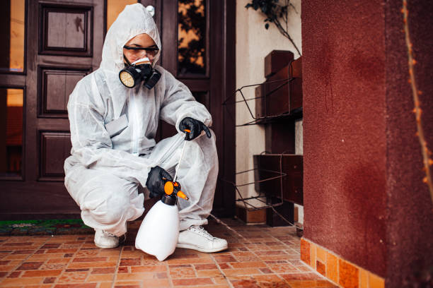 Attic and Crawl Space Rodent Treatment in Shark River Hills