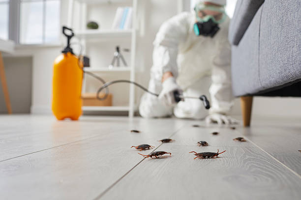 Commercial Rodent Management in Shark River Hills